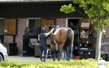 Stable life. Photo (c) Jenny Abrahamsson.