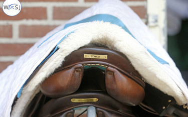 Details. Photo (c) Jenny Abrahamsson.