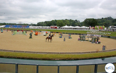 The international arena. 