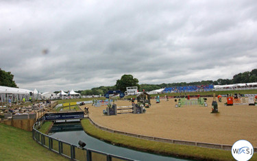 The international arena. 