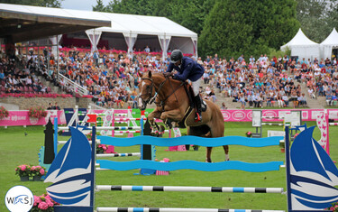 (c) World of Showjumping
