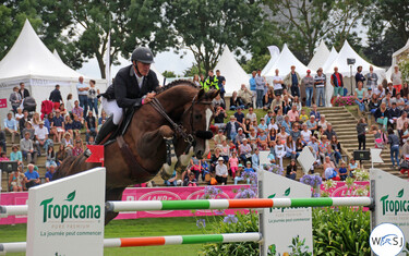 (c) World of Showjumping
