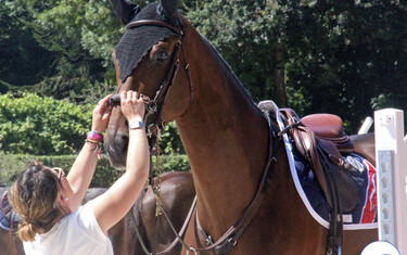 (c) World of Showjumping