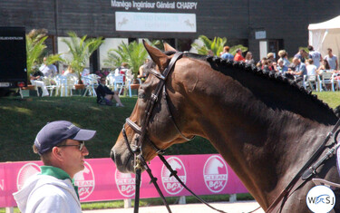 (c) World of Showjumping