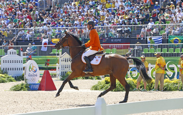 Jeroen Dubbeldam, Zenith
