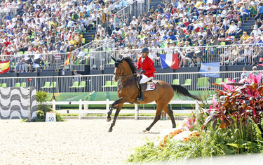 Karim Elzoghby, Amelia