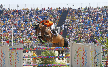 Maikel van der Vleuen, Verdi