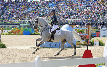 Sergio Alvarez Moya, Carlo 273