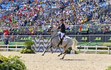 Sergio Alvarez Moya, Carlo 273