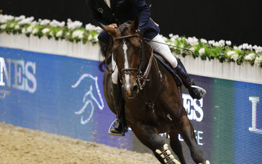 Photo (c) Tiffany Van Halle for World of Showjumping