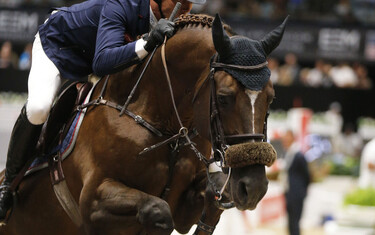 Photo (c) Tiffany Van Halle for World of Showjumping