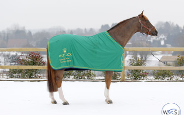 Photo (c) Tiffany Van Halle for World of Showjumping