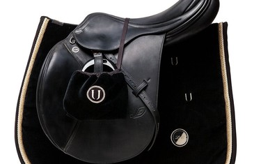 Saddle
