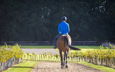 Gornall Equestrian