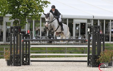 Christian 25 is a modern showjumping stallion. Several of Christian's offspring have become graded stallions.  