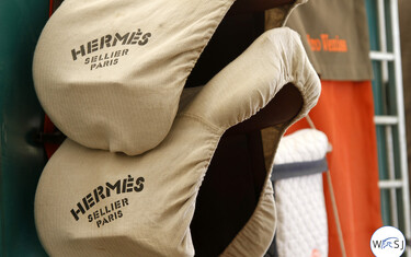 (c) World of Showjumping
