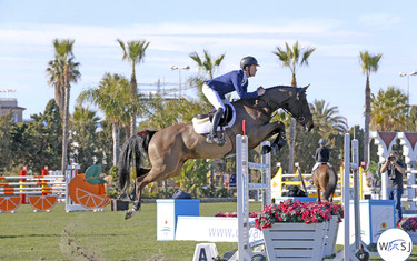 (c) World of Showjumping