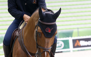 Action-Breaker gets to know the ring with his rider Sergio Alvarez Moya.