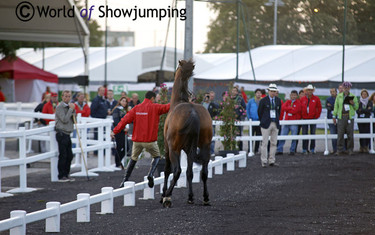 Eldorado van het Vijverhof went a little wild and pushed Dayro Arroyave out of the way.