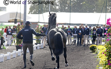 Chill R Z was everything else than chilled at the trot-up. 