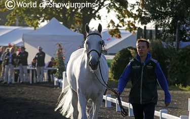 At only 19 years old Bertram Allen has made it to the World Equestrian Games for Ireland with Molly Malone.