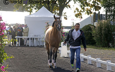 Amre Hamcho trots up the horse he has borrowed for the Games; Citizenguard Cadjanine Z.
