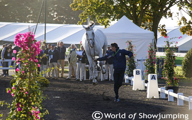 Somebody had fun during the trot-up! And it was probably not Laszlo Toth.