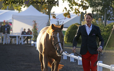 The French riders looked stylish during the trot-up - here the handsome Kevin Staut with Reveur de Hurtebise.