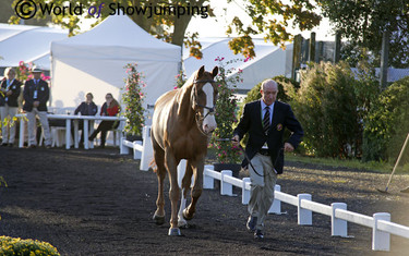 Viking looked stunning! And of course Michael as well...