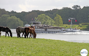 (c) World of Showjumping