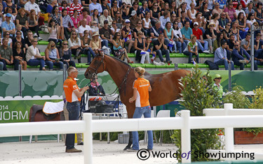 Zenith SFN, Rob Ehrens and Rike