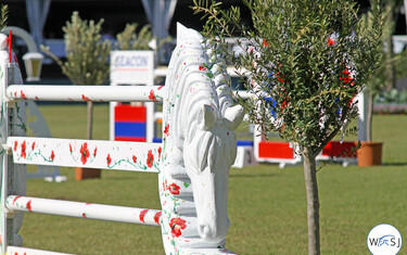 © World of Showjumping