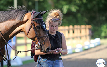 © World of Showjumping