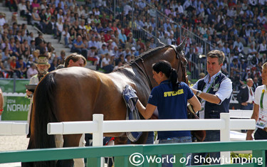 Celia dries up Orient Express HDC to make him ready for Rolf.