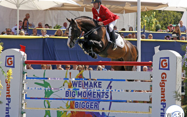 Image Description