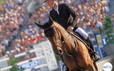 © World of Showjumping