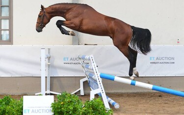 Photo © ET Auction