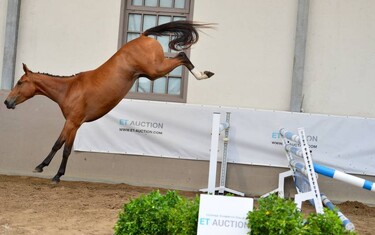 Photo © ET Auction