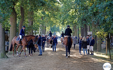 © World of Showjumping