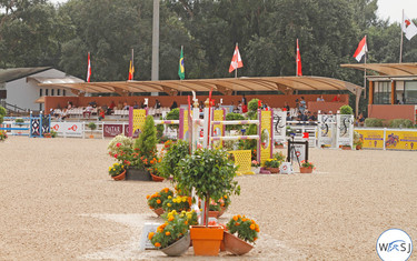 © World of Showjumping