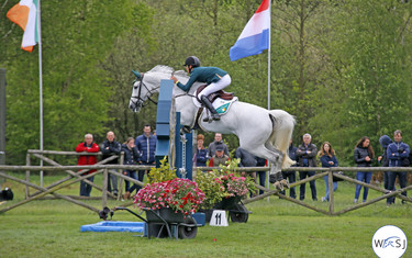 Image Description