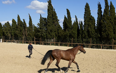 VEJER DE LA FRONTERA, CADIZ - MARCH 21: Sunshine Tour 2019 at Dehesa de Montenmedio on March 21, 2019 in Vejer de La Frontera, Spain. (Photo by Manuel Queimadelos / Oxer Sport)