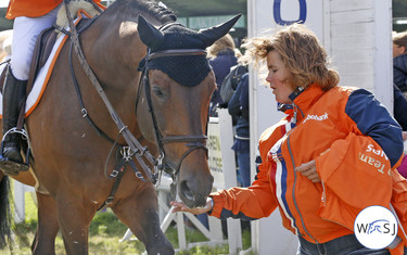 Image Description