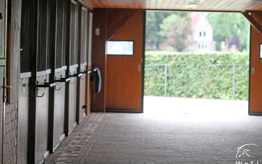  Photo © Nanna Nieminen for World of Showjumping