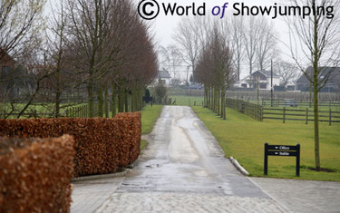 Beautiful surroundings at Stephex Stables.