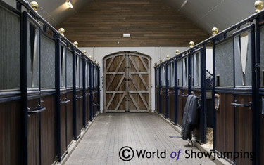 Some of Daniel's stable. 