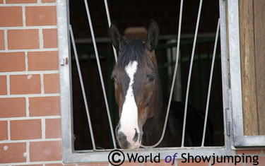 The beautiful Stakki taking a look out her window.