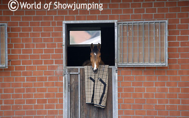 Goose has a great overview of the yard in Borken.