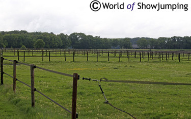 The fields (without horses this day due to extreme rain), that have a huge canter track around.