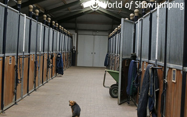Maikel's stable.